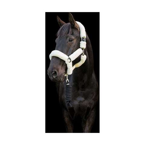 Cameo Deluxe Headcollar