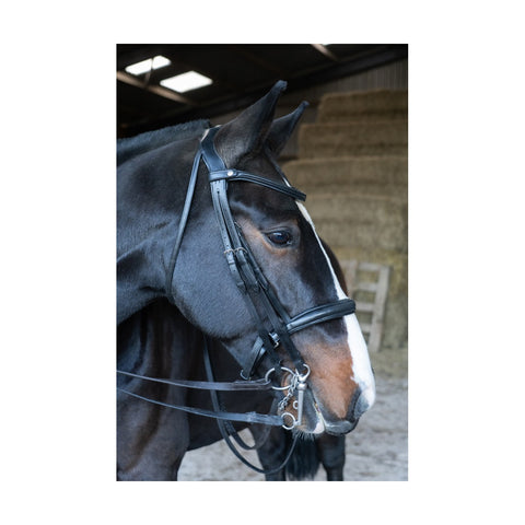 Eco Rider Freedom Double Bridle