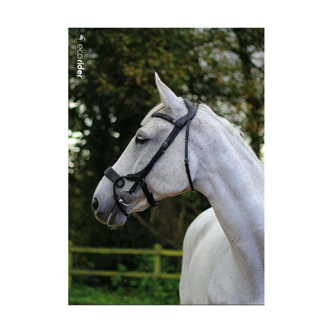 Eco Rider Freedom Jump Bridle