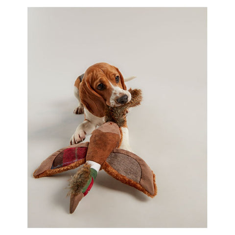 Joules Pheasant Dog Toy