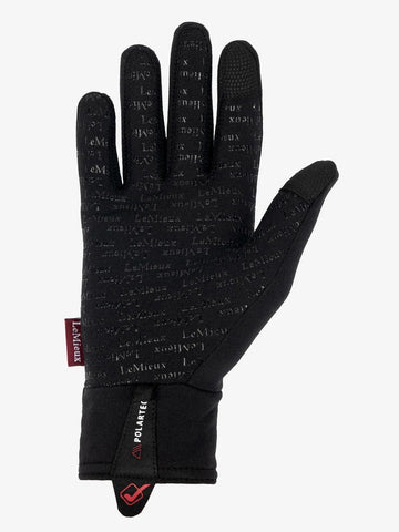 PolarTec Glove