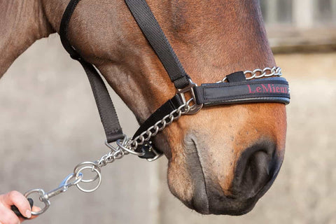 LeMieux Pro-Safe Headcollar