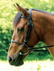 Race Bridle Full Grain Leather