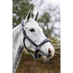 LeMieux Stitched Leather Headcollar