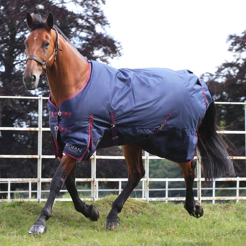 Trojan 50 Standard Turnout Rug