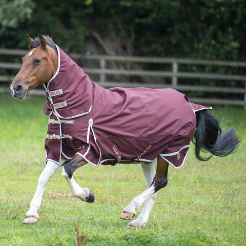 Trojan Xtra 100 Combo - Burgundy/Beige