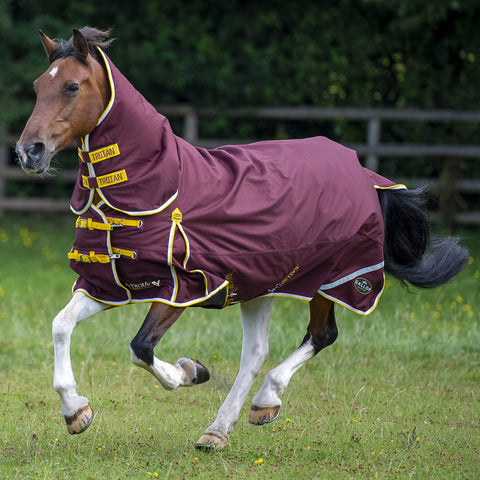 Trojan Xtra 200 Combo - Burgundy/Yellow