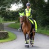 Woof Wear Hi Vis Riding Vest image #