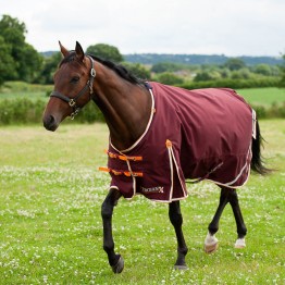 Gallop Trojan Xtra 100g Turnout Rug