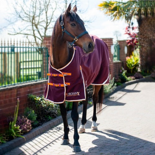 Gallop Trojan Xtra 100g Turnout Rug image #