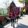 Gallop Trojan Xtra 100g Turnout Rug image #