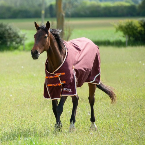 Gallop Trojan Xtra 100g Turnout Rug image #