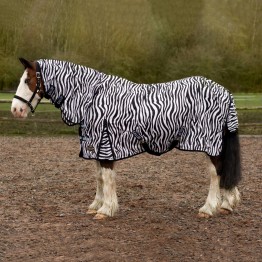 Zebra Fly Rug Combo by Gallop
