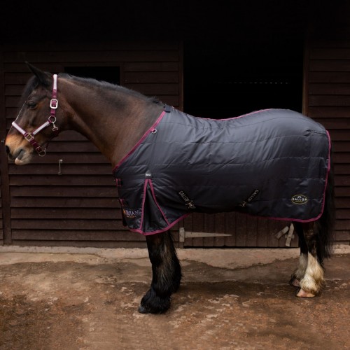 Gallop Trojan 50g Stable Rug image #