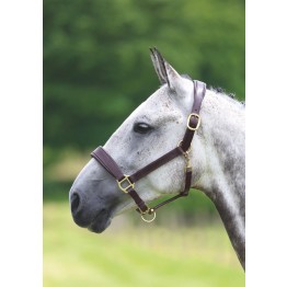 Velociti Gara Leather Travel Headcollar