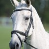 Avignon Padded Raised Flash Bridle image #