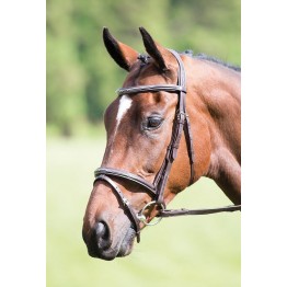 Avignon Padded Raised Flash Bridle