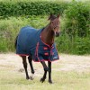 Gallop Trojan Classic 200g Turnout Rug  image #