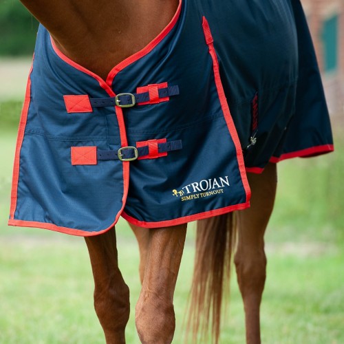 Gallop Trojan Classic 200g Turnout Rug  image #