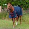 Gallop Trojan Classic 200g Turnout Rug  image #