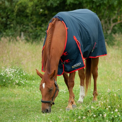 Gallop Trojan Classic 200g Turnout Rug  image #