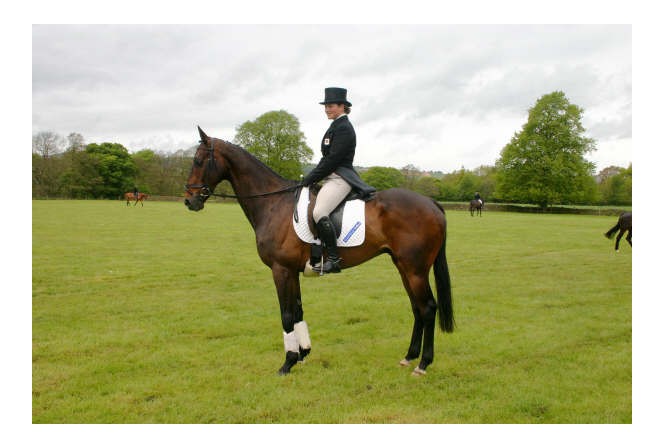 Alice Pearson and Beau Bear at Chatsworth 2009