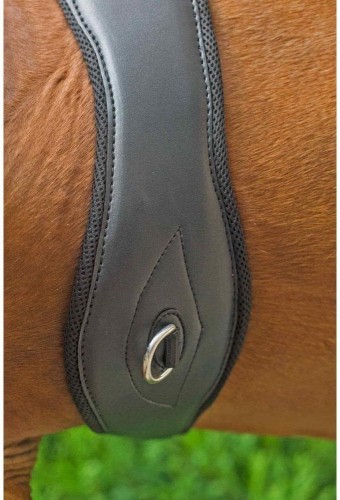 Apollo Air Breathe Comfort Anatomic Girth image #