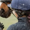 Helmet Connect by Finer Equine image #