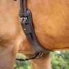 LeMieux Arika Contoured Dressage Girth image #