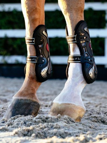 LeMieux Evo Flex Tendon Boot image #