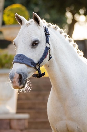 LeMieux Mini Vogue Headcollar image #