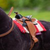 Toy Pony Western Saddle Pad image #