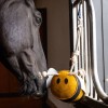 LeMieux Horse Toy - Bee image #