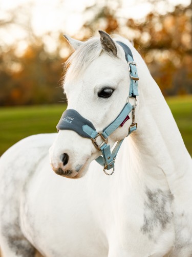 LeMieux Mini Vogue Headcollar image #