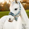 LeMieux Mini Vogue Headcollar image #