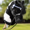 LeMieux Hobby Horse Showing Bridle image #