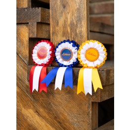 LeMieux Hobby Horse Rosette Pack