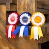 LeMieux Hobby Horse Rosette Pack image #