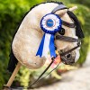 LeMieux Hobby Horse Rosette Pack image #