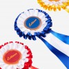 LeMieux Hobby Horse Rosette Pack image #