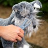 LeMieux Toy Puppy Grooming Kit image #