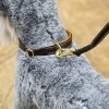 LeMieux Toy Puppy Collar and Lead image #