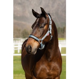 LeMieux Logo Headcollar