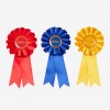 Toy Pony Rosette Pack image #