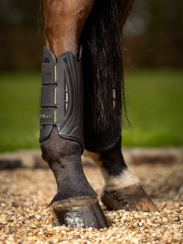 LeMieux MIMSafe XC Boot - Hind image #