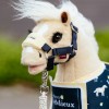 Toy Pony Lemon LeMieux Vogue Headcollar & Leadrope image #