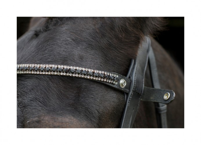 Eco Rider Freedom Juliette Browband image #