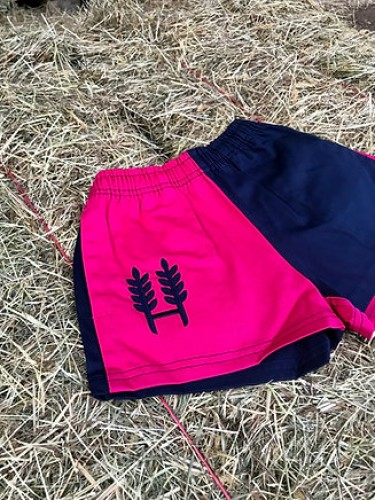 Pink/Navy