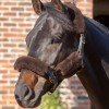 LeMieux Lambskin Headcollar Set image #