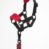 LeMieux Toy Pony Vogue Headcollar image #